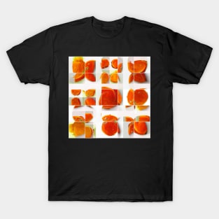 ORANGE is T-Shirt